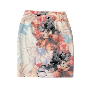 Cleo Floral Pencil Skirt, Size 14
